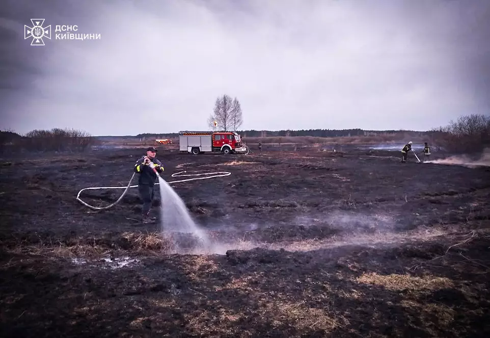 Пожежники гасять торфовище. Фото: ДСНС