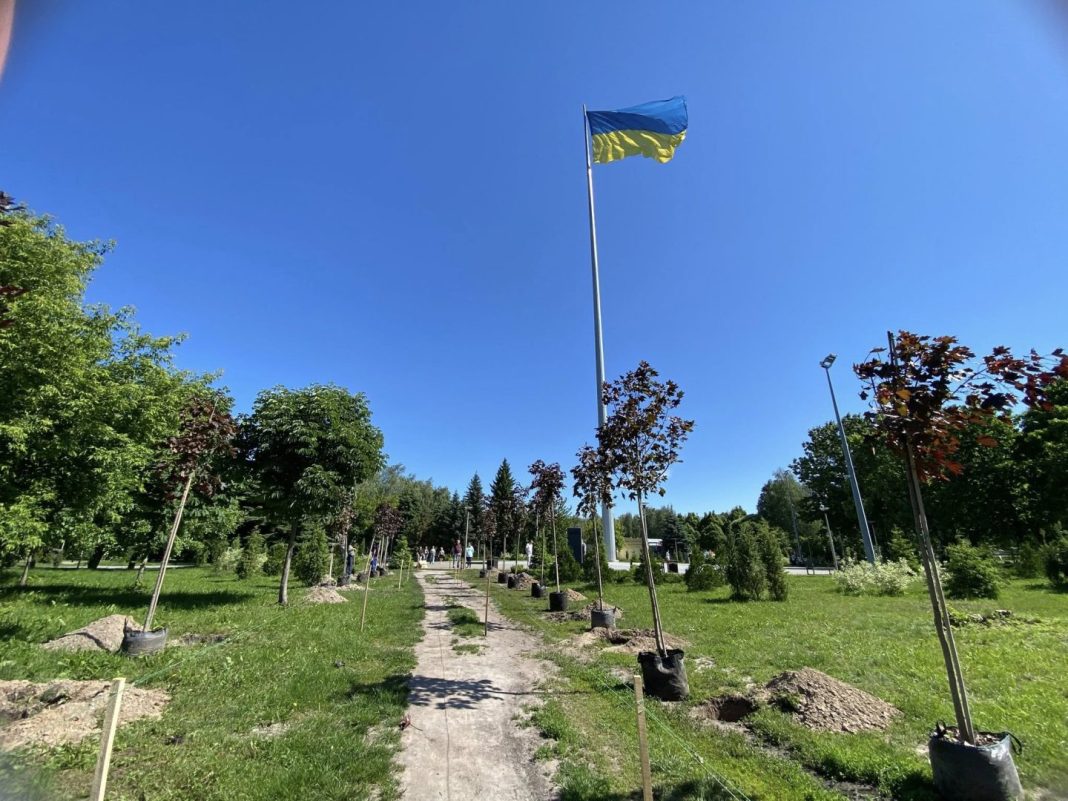 Алею кленів висадили у Броварах. Фото: Ігор Сапожко