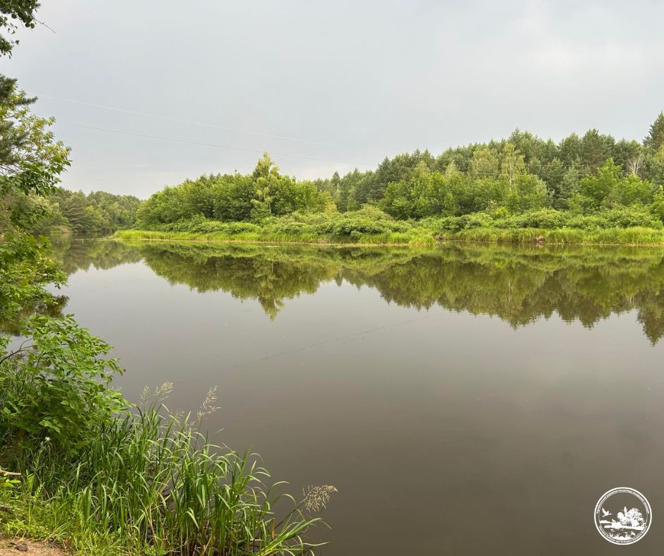 Водойма в Чорнобильській зоні. Фото: Чорнобильський радіаційно-екологічний біосферний заповідник