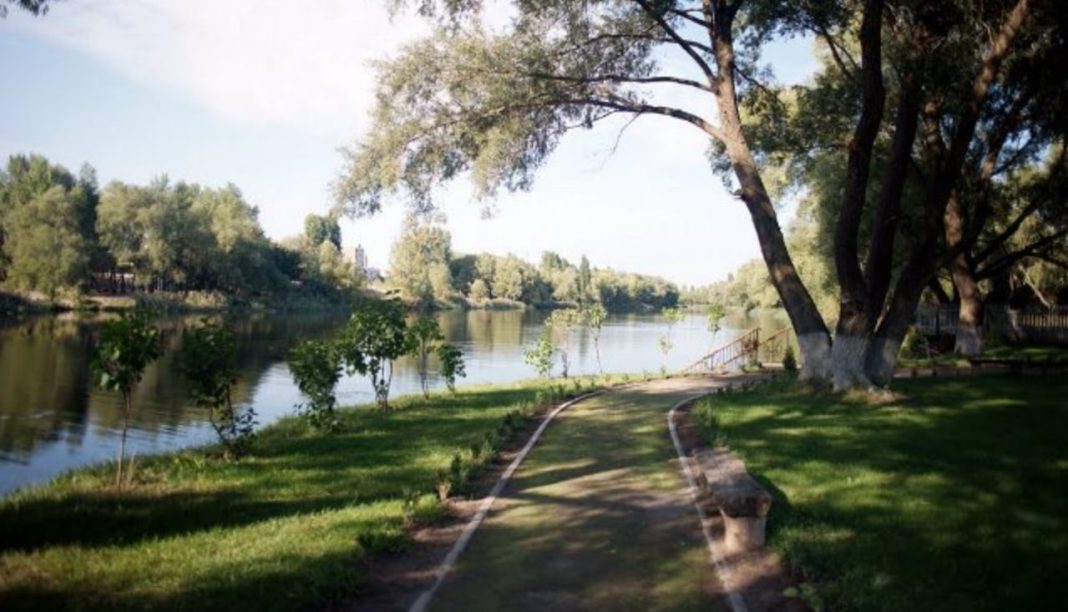 Суд зобов'язав знести самобуди у заказнику Деснянські луки. Фото: Вечірній Київ