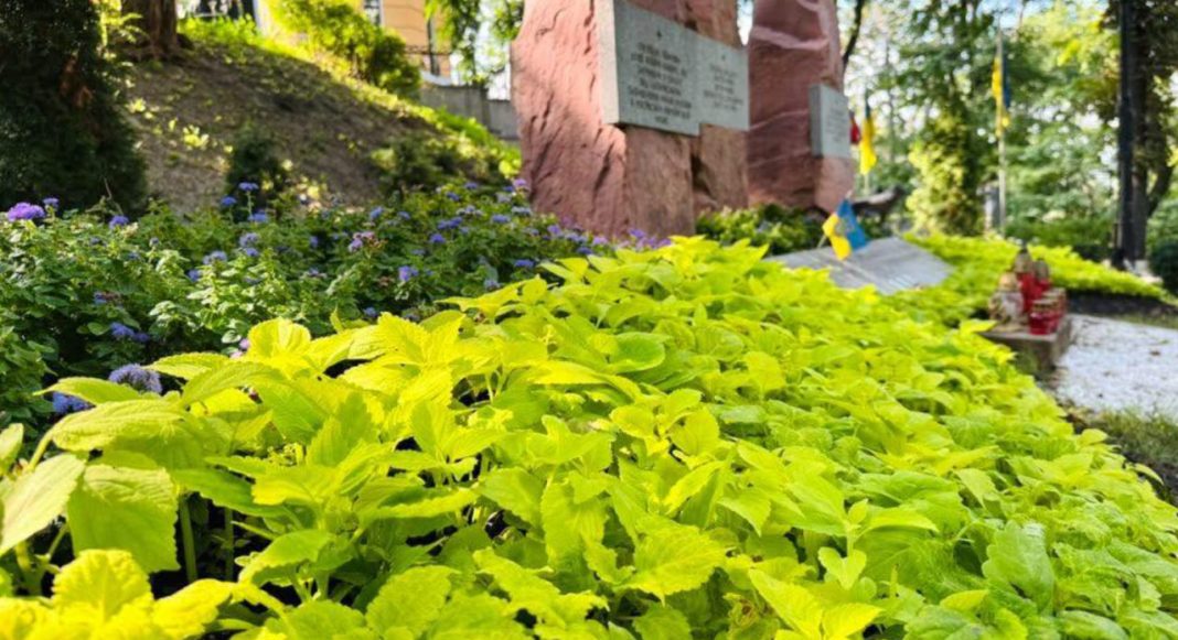 Квіти на Аскольдовій могилі. Фото: Київзеленбуд