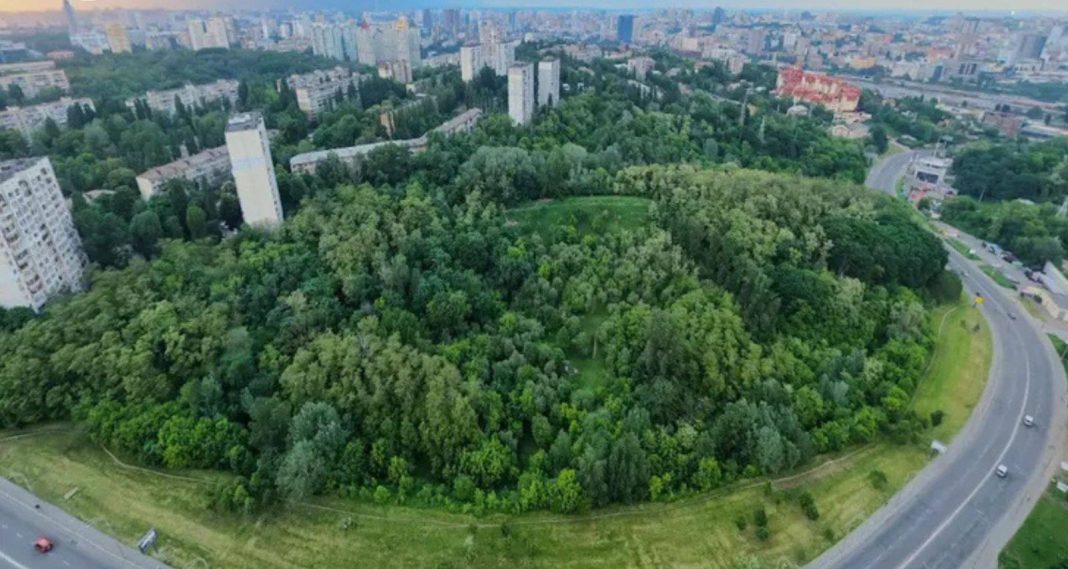 Протасів яр. Фото: Офіс Генерального прокурора
