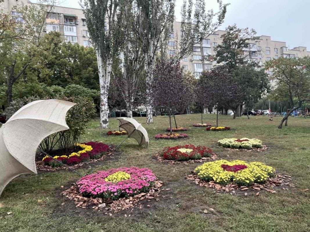 Фотозона з хризантем у сквері Марії Заньковецької. Фото: КП УЗН Печерського району