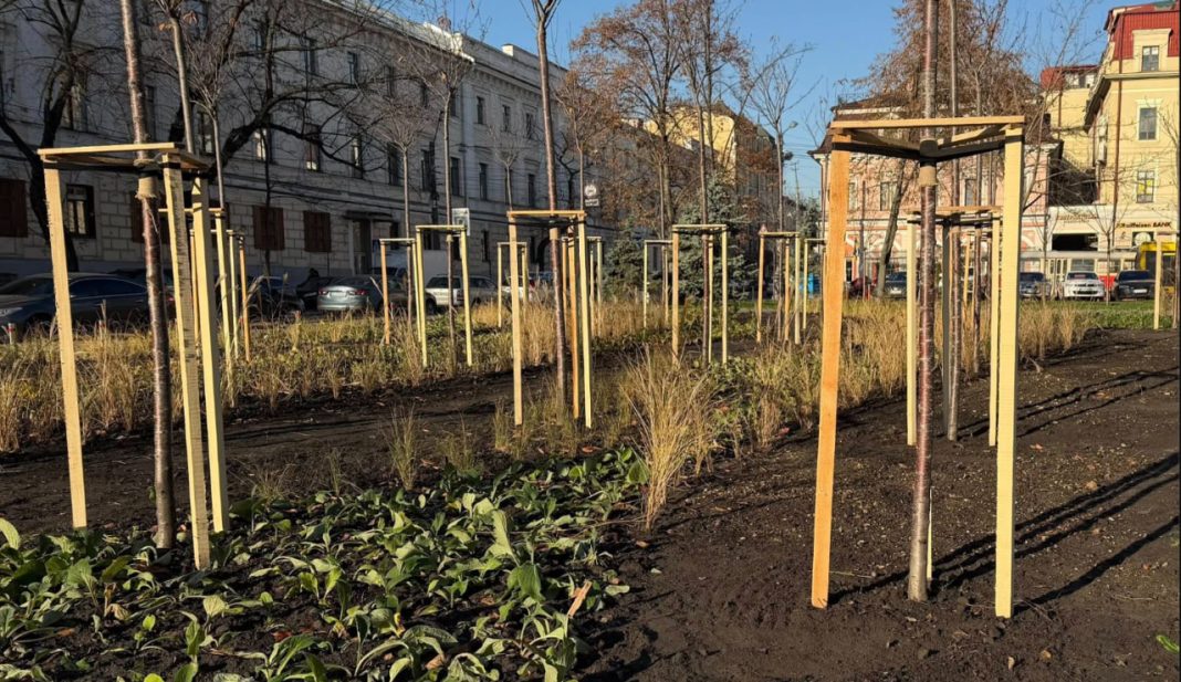 Оновлений сквер. Фото: Київзеленбуд