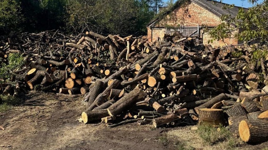 Зрубані дерева. Фото ілюстративне: Дніпропетровська обласна прокуратура