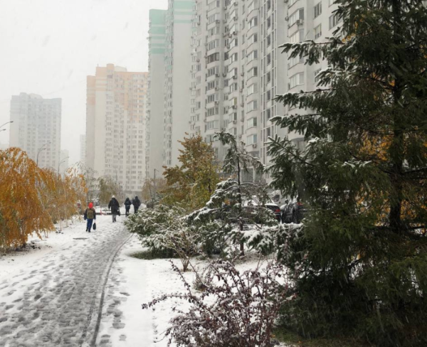 Перший сніг у Києві. Фото: Анна Мисюк