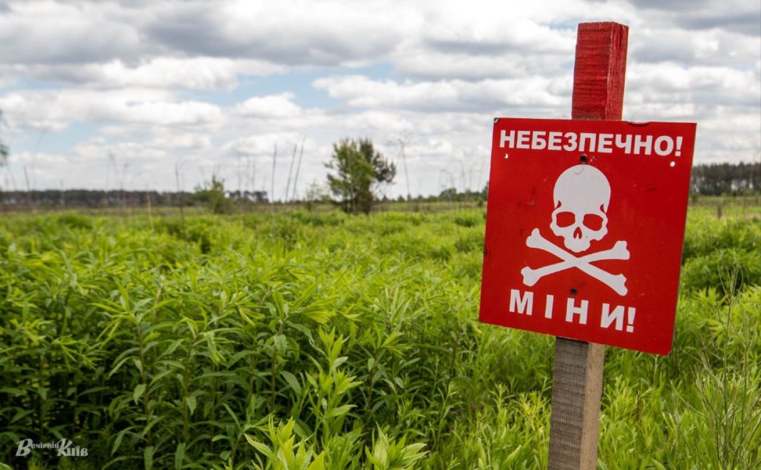 Розмінування території. Фото: Олексій Самсонов