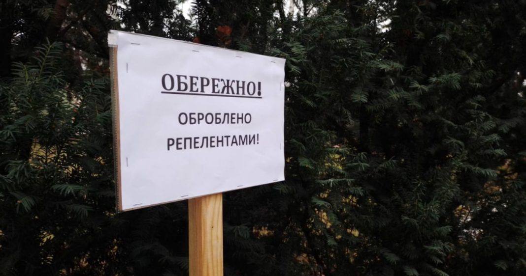 Попереджувальні таблички біля хвойних дерев. Фото: КМДА
