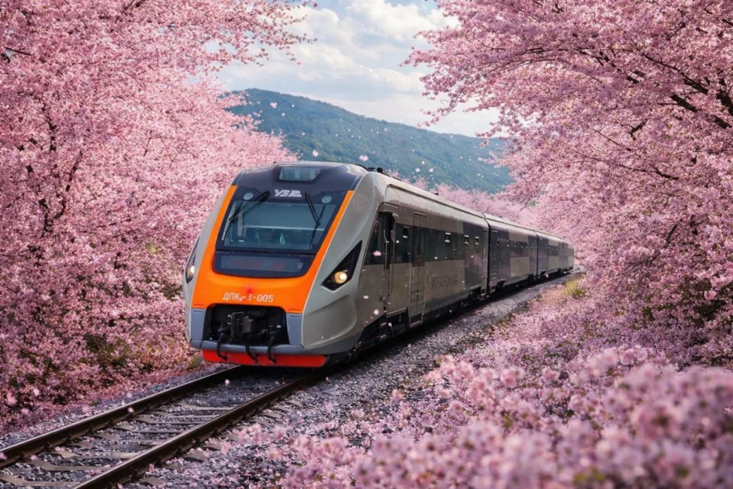 Sakura train. Фото: Big Kyiv