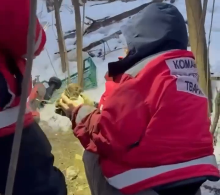 Врятовані цуценята. Скриншот з відео: Kyiv Animal Rescue Group