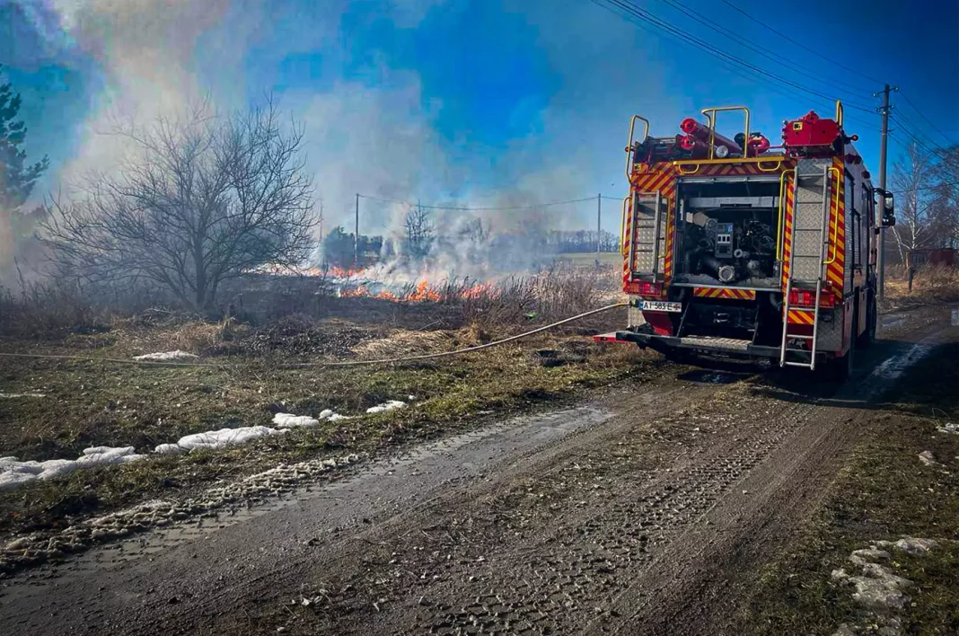 Пожежа на Київщині. Фото: ДСНС