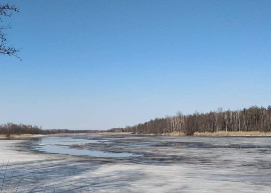 Річка у Чорнобильському заповіднику. Фото: Чорнобильський радіаційно-екологічний біосферний заповідник