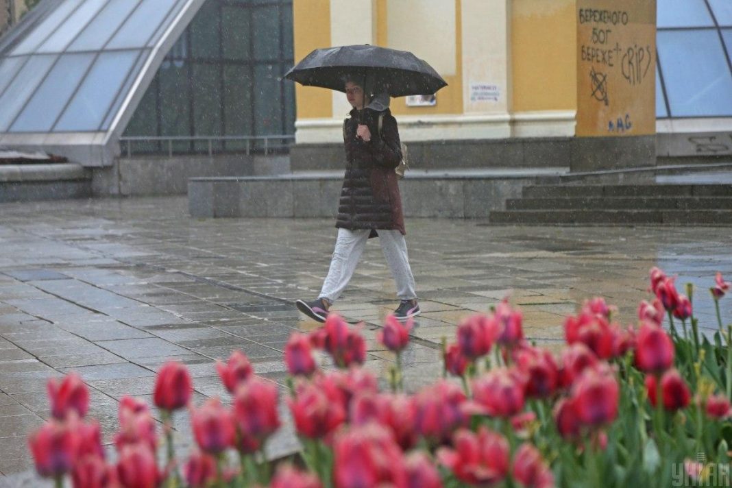 Весні в Києві. Фото: Віктор Ковальчук