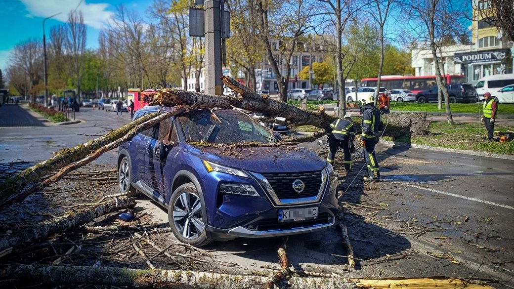 Дерево, що впало на авто під час пориву вітру. Фото: ДСНС України