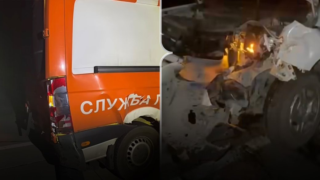 Олень Борис із Рівненщини вдруге потрапив у ДТП. Колаж: Центр порятунку диких тварин