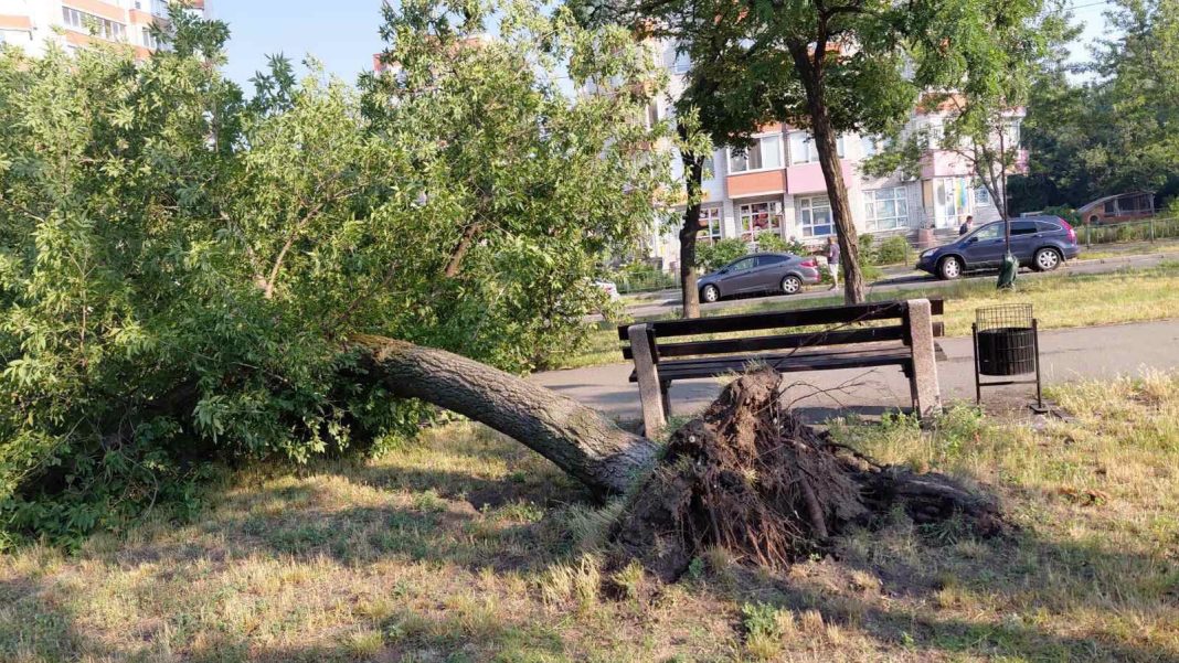 Наслідки негоди в Києві. Фото: КО 