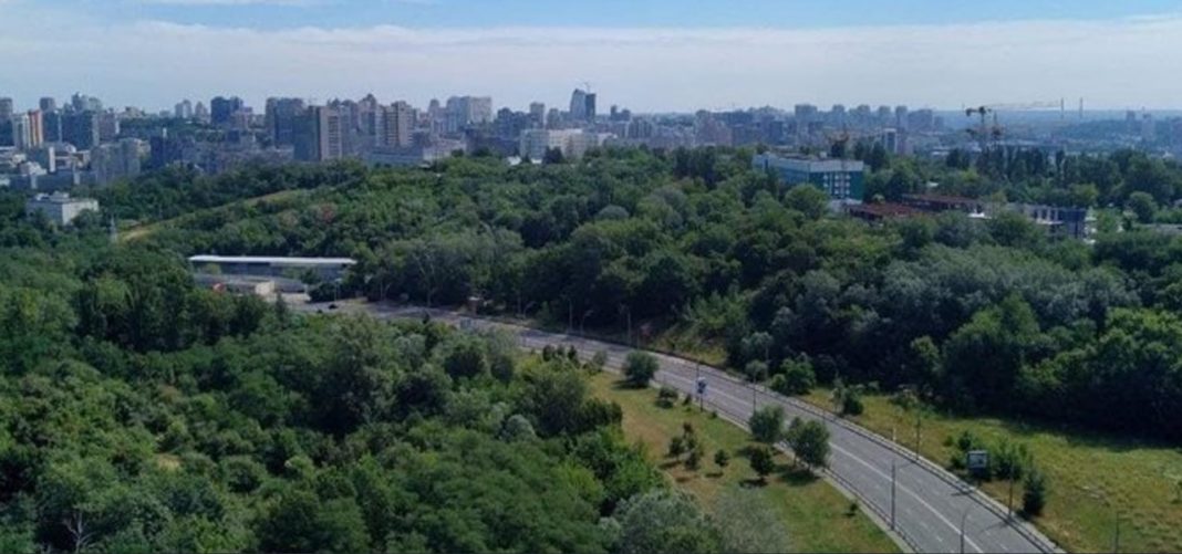 Протасів яр. Фото: ГО 