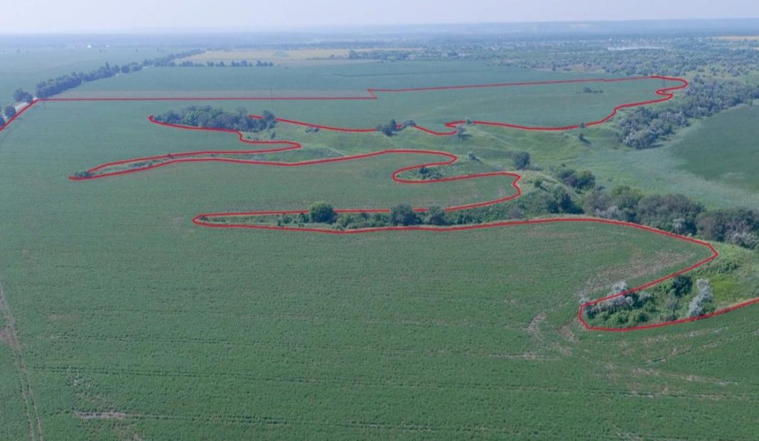 Залишки літописного Торчеська. Фото: Спілка археологів України
