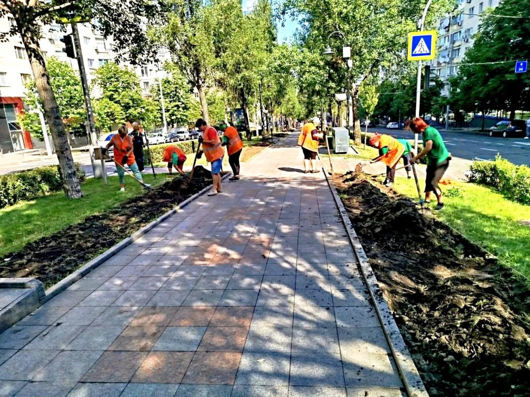 Озеленення бульварів у Києві