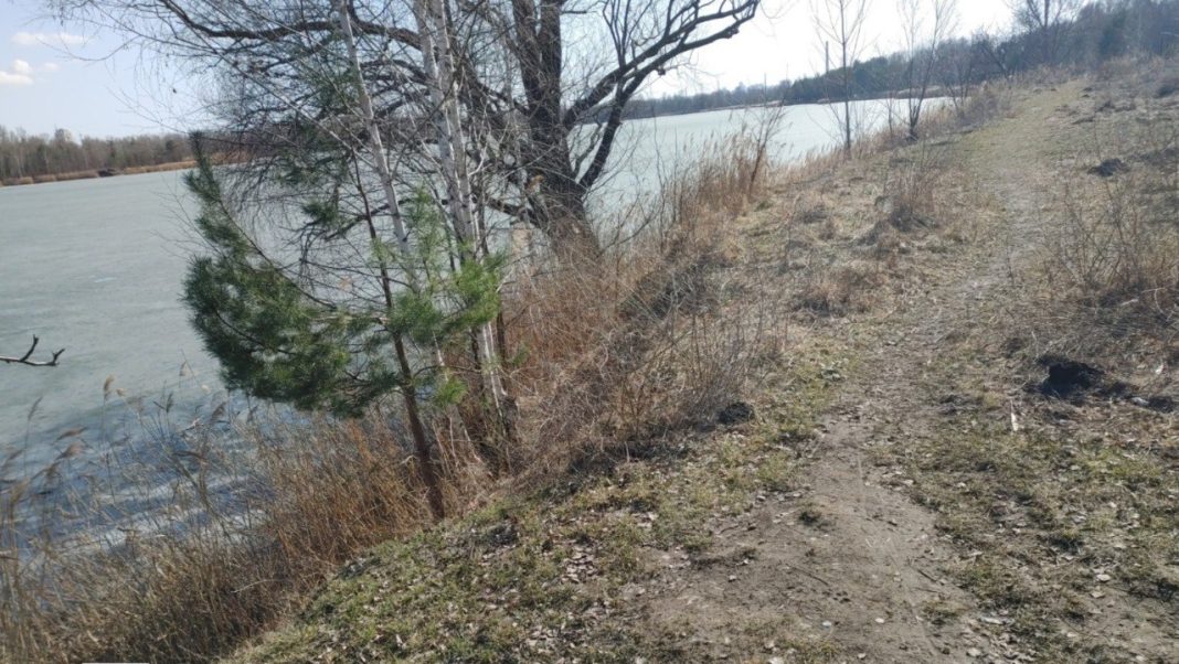 Озеро Редькине. Фото: Київська міська прокуратура