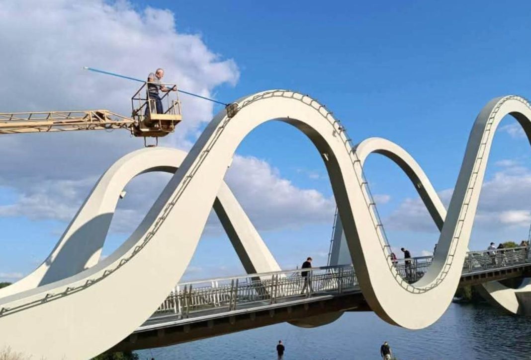 Порятунок птаха. Фото: КП 