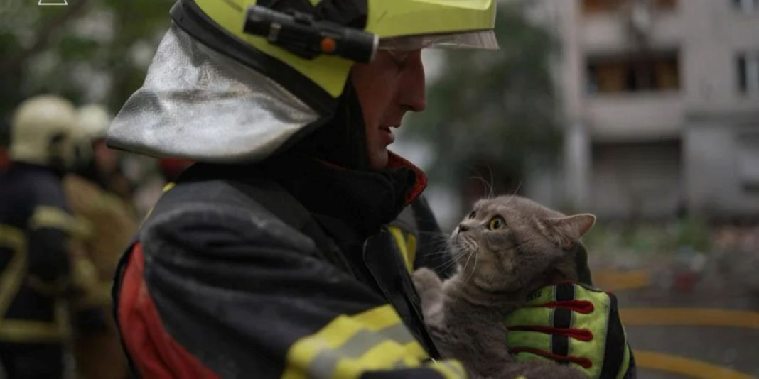 З-під уламків палаючого будинку на Печерську рятувальники витягли кота Марсіка
